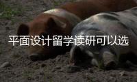 平面设计留学读研可以选择哪些院校？