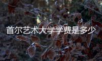 首尔艺术大学学费是多少？