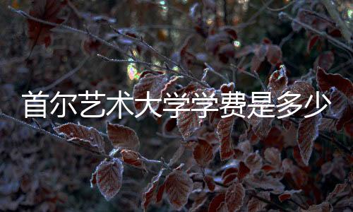 首尔艺术大学学费是多少？