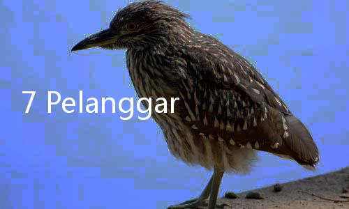 7 Pelanggaran HAM Dalam Tragedi Kanjuruhan Hasil Penyelidikan Komnas HAM