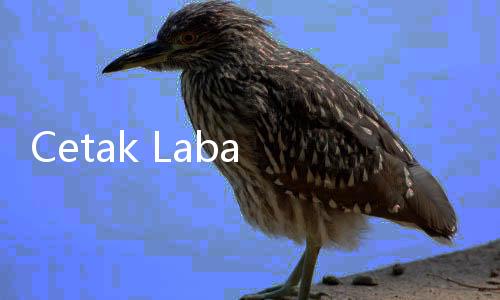 Cetak Laba Rp925 Miiliar, CBDK Hanya Alokasikan 3% untuk Jatah Dividen Pemegang Saham