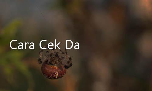 Cara Cek Dana PIP 2024 Lewat HP dengan Mudah yang Bisa Diikuti Siswa, Jangan sampai Salah!
