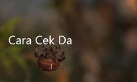 Cara Cek Dana PIP 2024 Lewat HP dengan Mudah yang Bisa Diikuti Siswa, Jangan sampai Salah!