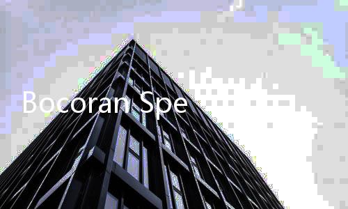 Bocoran Spesifikasi dan Harga BYD Seal 06 SUV, Enggak Listrik Murni