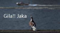 Gila!! Jakarta Masuk Peta Hitam Covid, Ini Kata BIN...