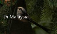 Di Malaysia Pajak Tahunan untuk Model Avanza Cuma Rp1 Juta, di Indonesia Bisa Sampai Rp6 Juta