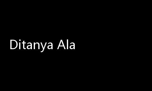 Ditanya Alasan Khusus Pesawat Kepresidenan Ganti Warna, Istana Bilang Begini