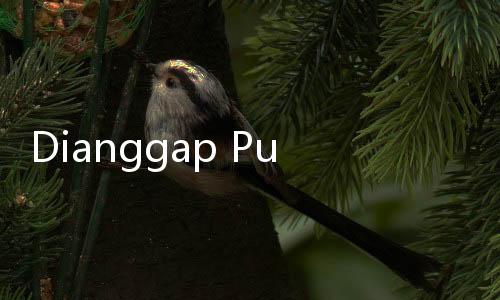 Dianggap Punya Peran Dalam Kabinet Prabowo