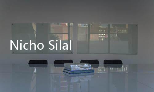 Nicho Silalahi Berani Bilang ke Ruhut Sitompul: Kupikir Abang Cerdas dan Paham Hukum