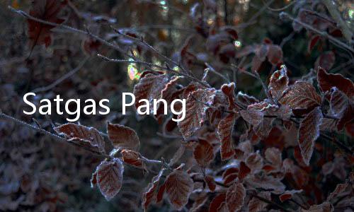 Satgas Pangan Polri Ungkap Faktor Penyebab Melonjaknya Harga Beras