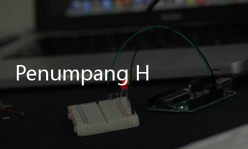 Penumpang Heboh Usai Hewan Mirip Tupai Terbang Berkeliaran di Pesawat