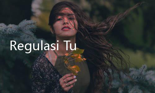 Regulasi Turunan UU Perlindungan TKI Perlu Segera Dibuat