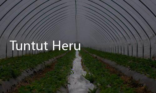 Tuntut Heru Budi Pakai PP 78 Naikkan Upah 13 Persen, Buruh Singgung Kebijakan Anies soal UMP DKI
